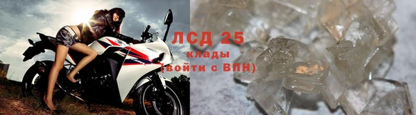 СК Новодвинск