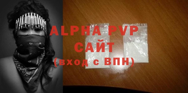 СК Новодвинск