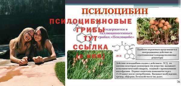 СК Новодвинск