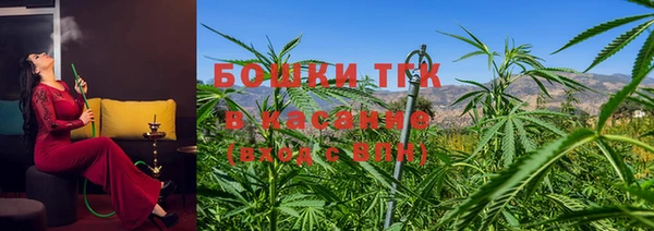 ГАЛЛЮЦИНОГЕННЫЕ ГРИБЫ Новокубанск