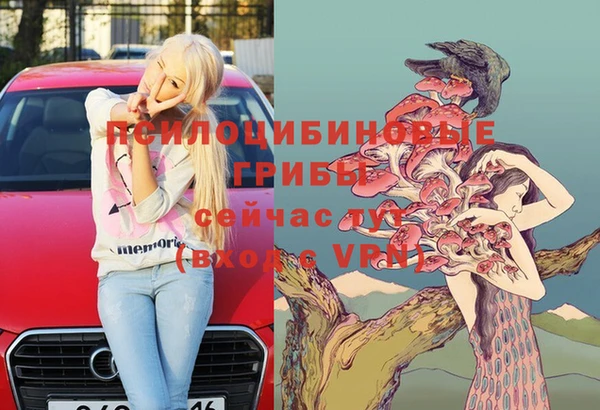 твердый Нязепетровск