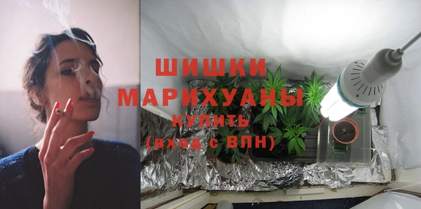 СК Новодвинск