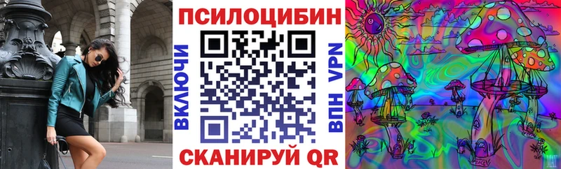 Псилоцибиновые грибы Cubensis  сколько стоит  Саки 