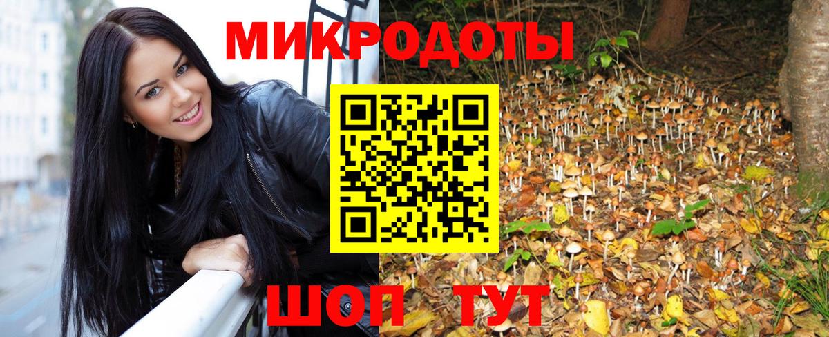 Псилоцибиновые грибы Psilocybe Саки