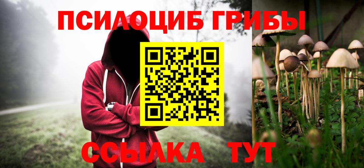 Псилоцибиновые грибы Cubensis  Вход с VPN  Саки  закладка  Галлюциногенные грибы GOLDEN TEACHER 