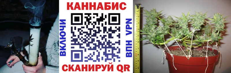 продажа наркотиков  Саки  МАРИХУАНА ГИДРОПОН 