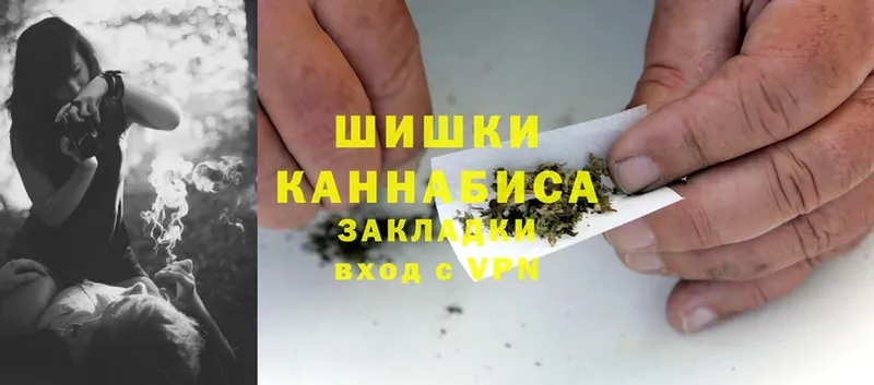 Марихуана OG Kush  Саки 